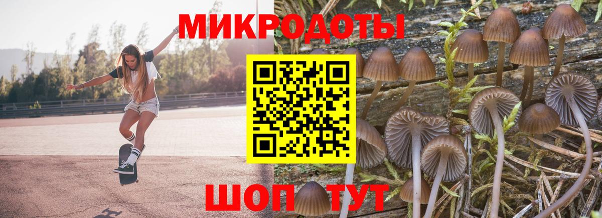 Оренбург  Псилоцибиновые грибы прущие грибы  Вход с VPN 